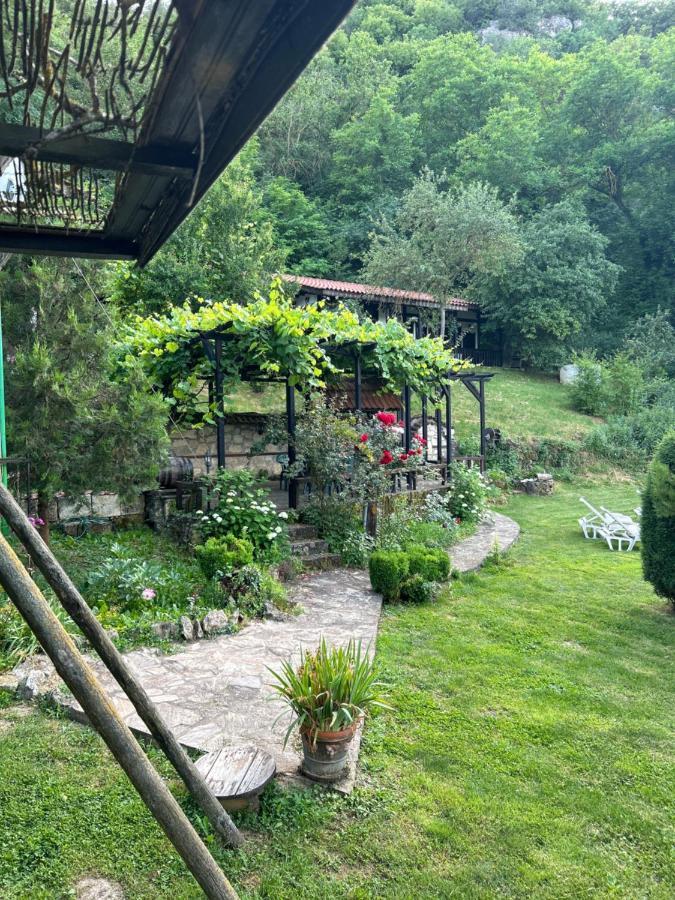 Milkovata Guest House Koshov Extérieur photo