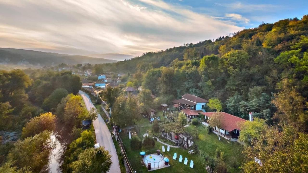 Milkovata Guest House Koshov Extérieur photo