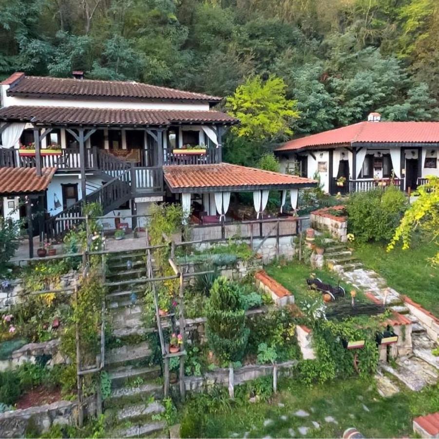 Milkovata Guest House Koshov Extérieur photo
