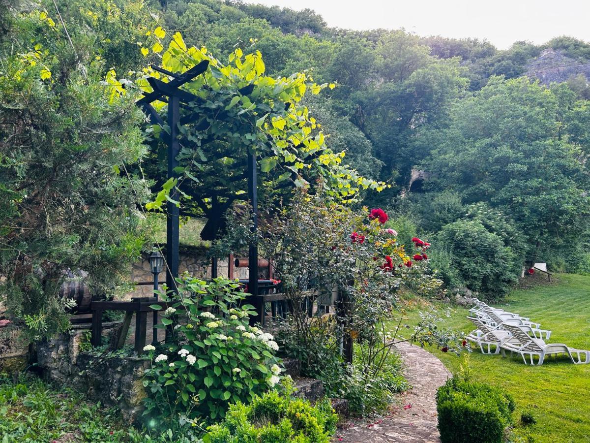 Milkovata Guest House Koshov Extérieur photo
