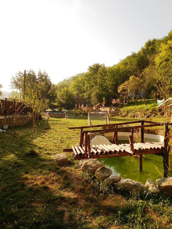 Milkovata Guest House Koshov Extérieur photo