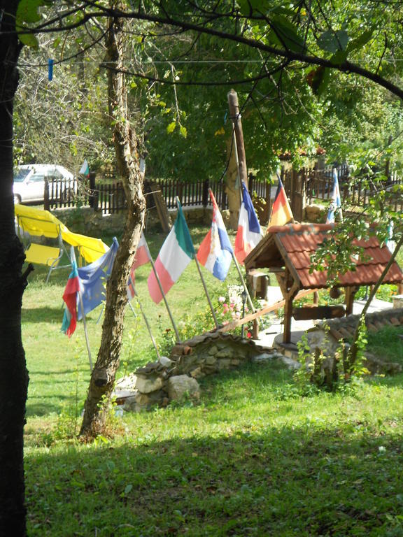 Milkovata Guest House Koshov Extérieur photo